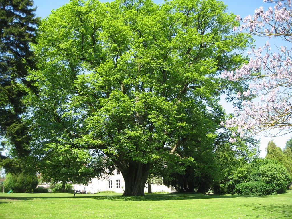 De L'abbaye D'etrun